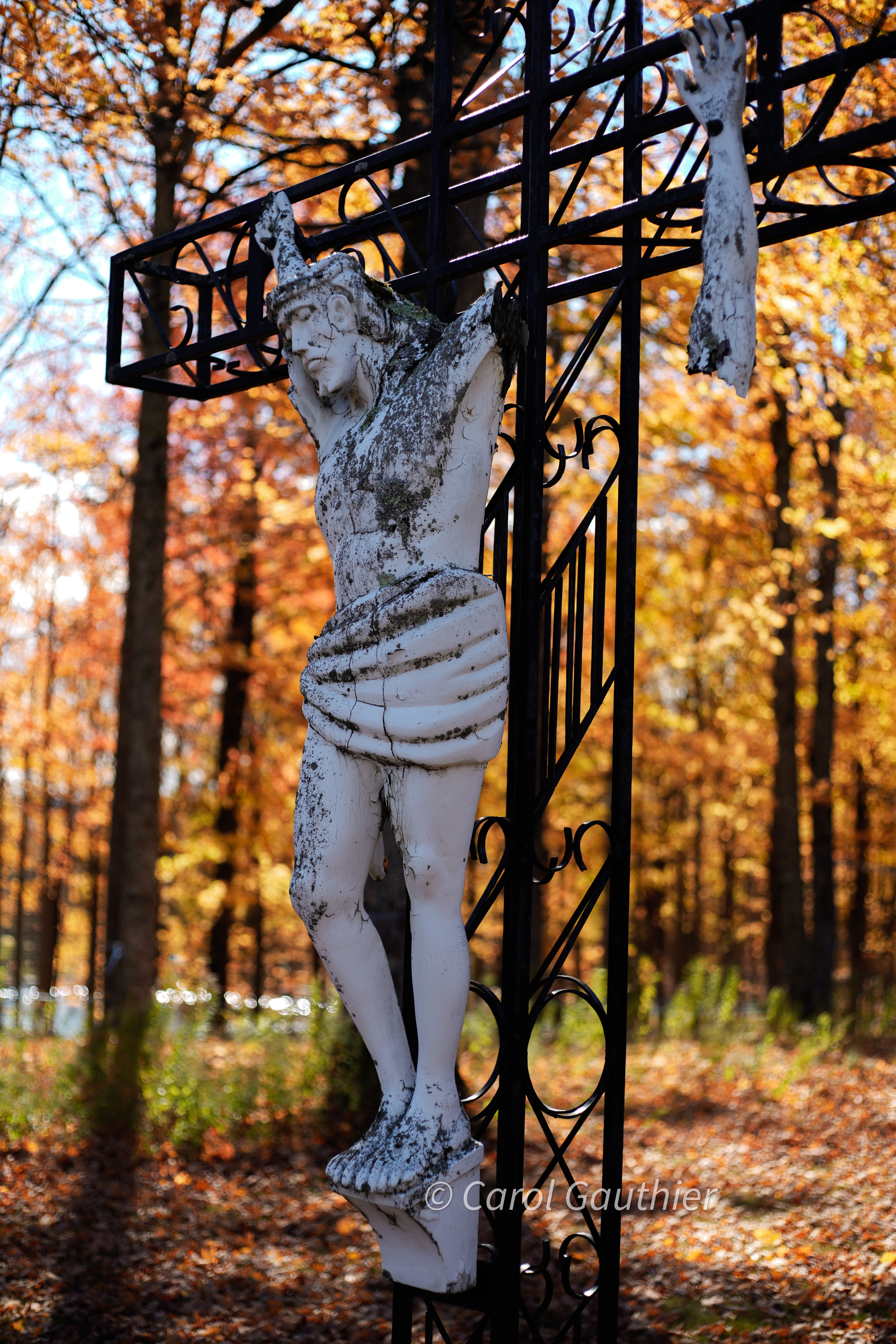 Jesus Forgotten - 7