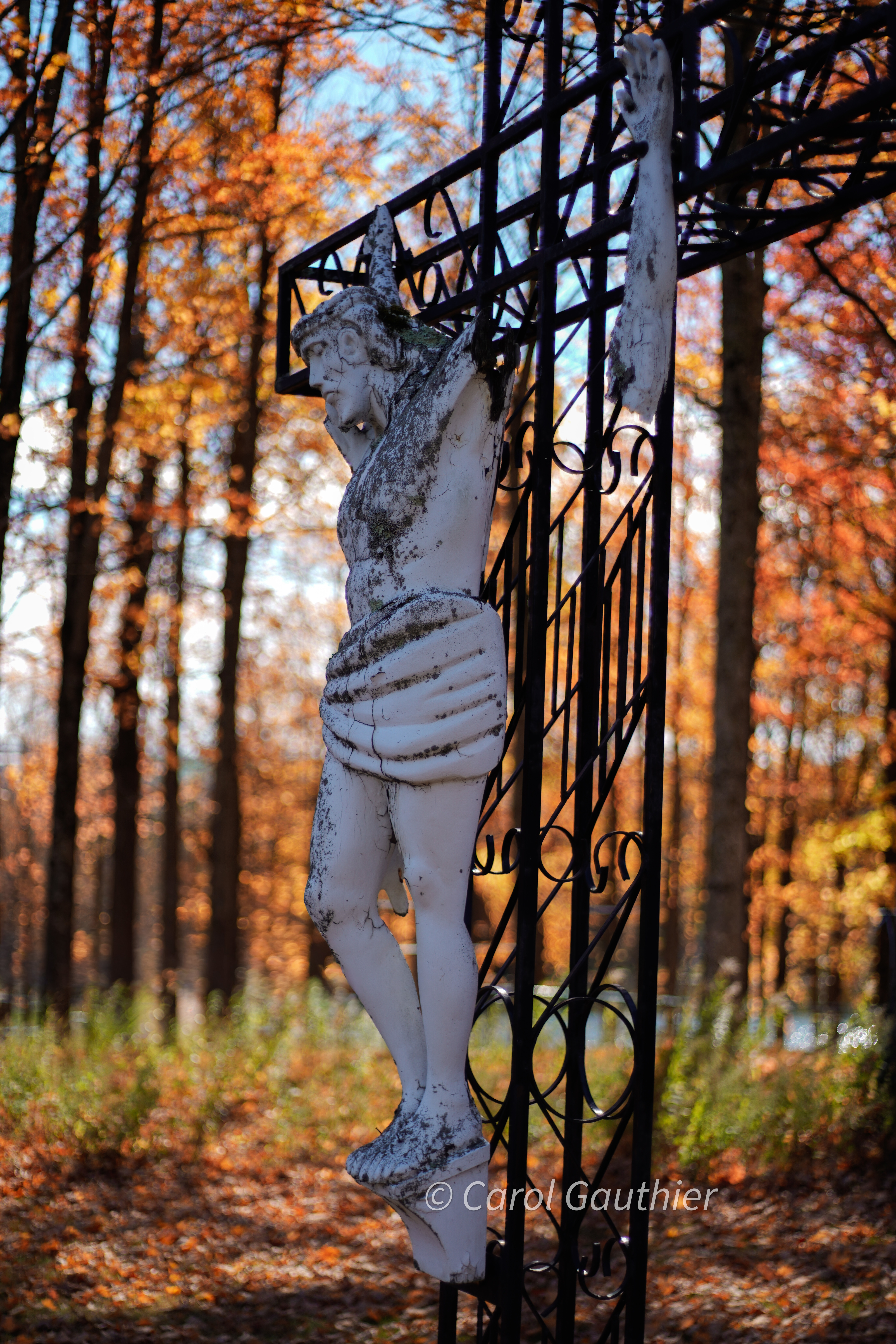 Jesus Forgotten - 8