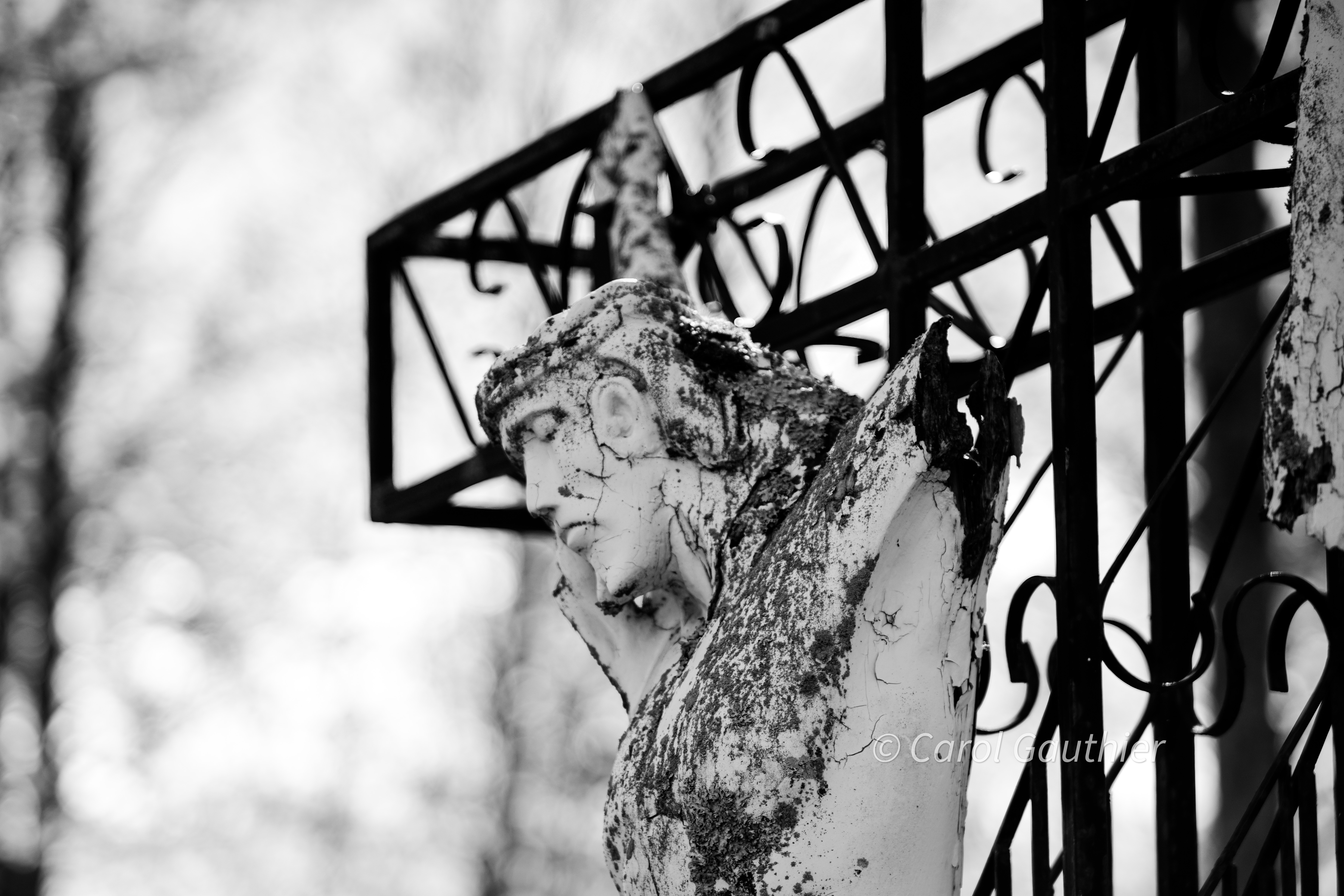 Jesus Forgotten - 6 : Noir et blanc