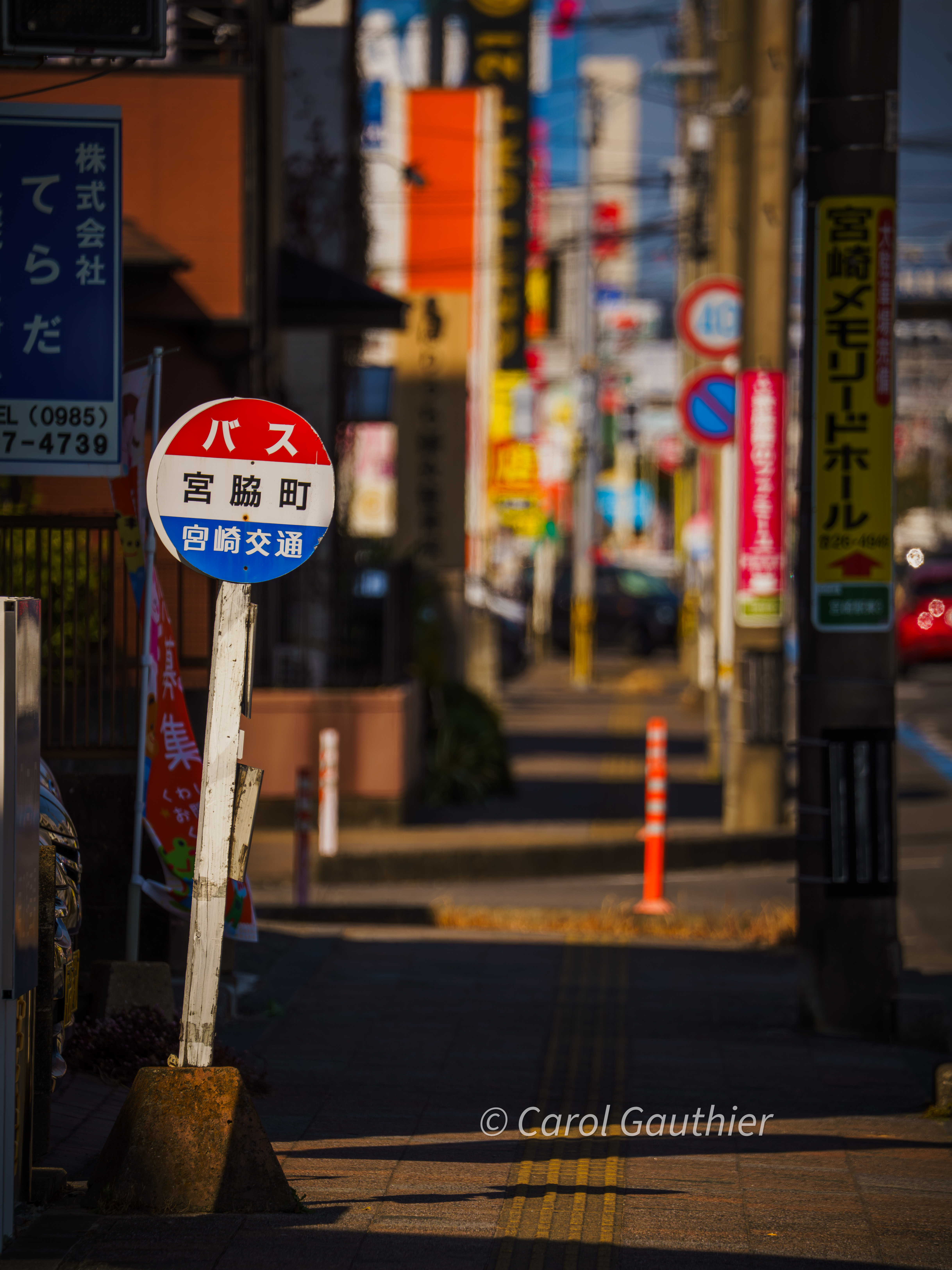 Street signs along a boulevard in Miyazaki, Kyushu, Japan