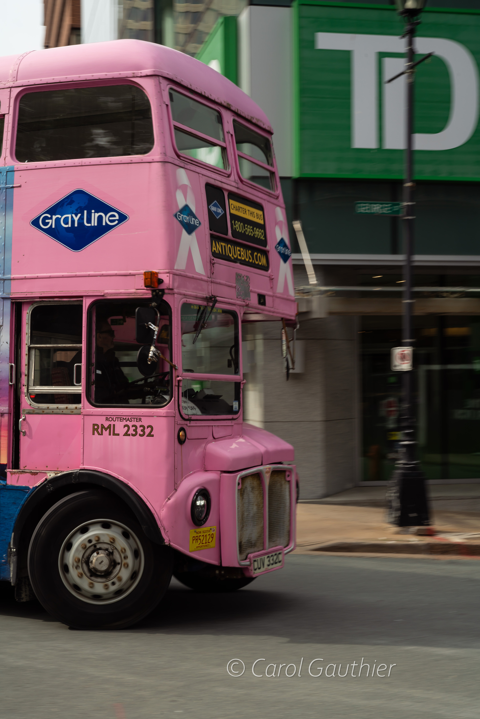 Le bus rose à Halifax