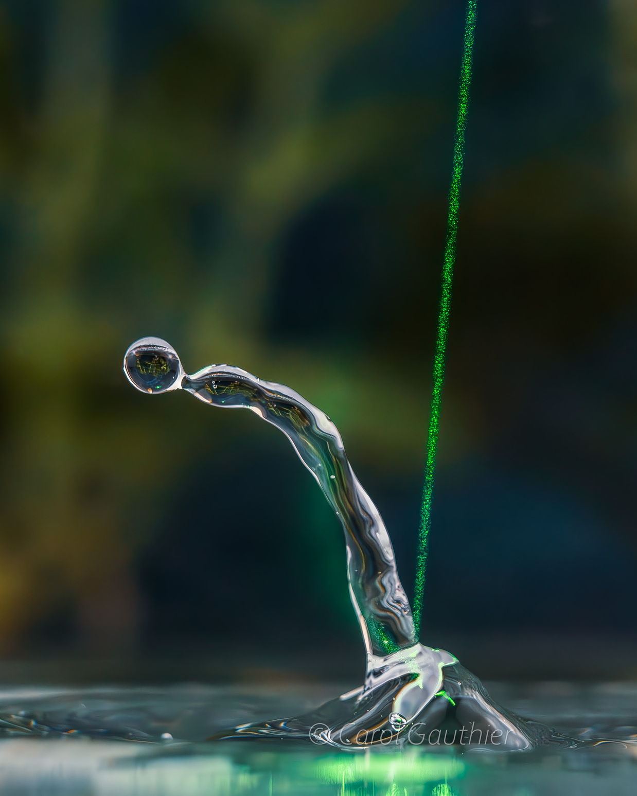 Goutte en mouvement X
