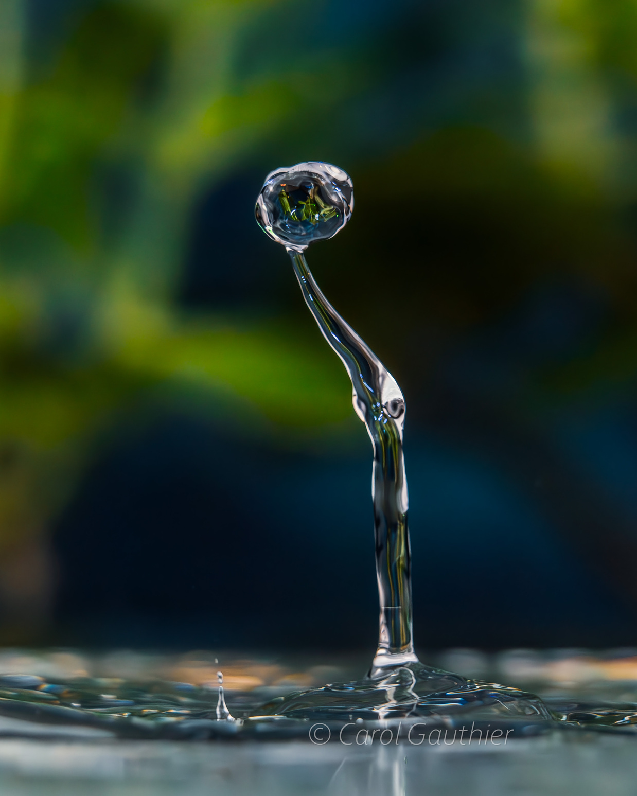 Goutte en mouvement XIII