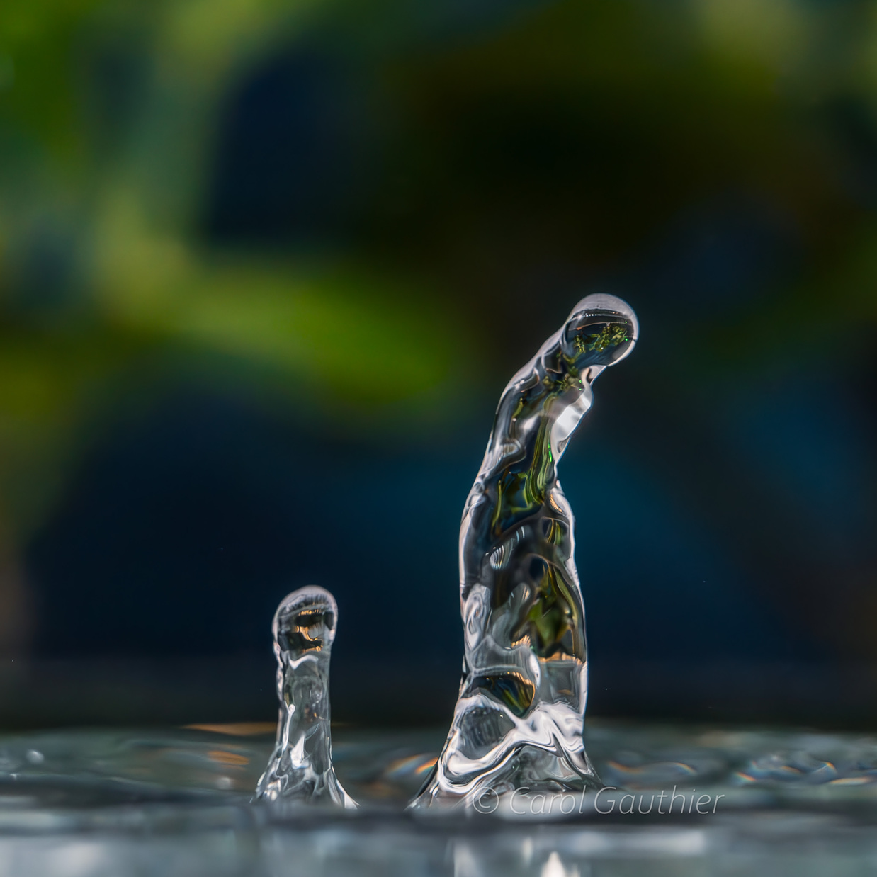 Goutte en mouvement XIV
