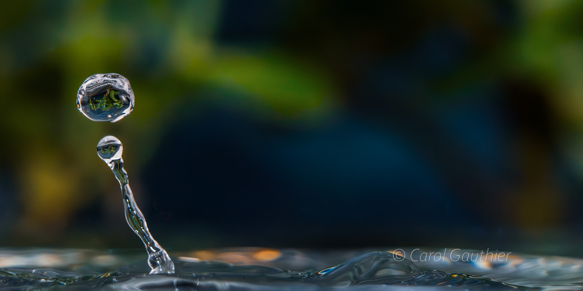 Goutte en mouvement XVII