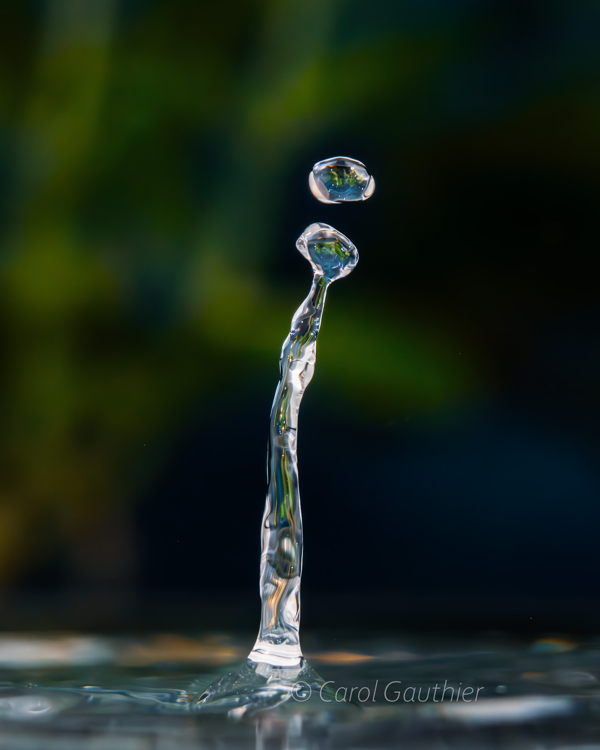 Goutte en mouvement XVIII