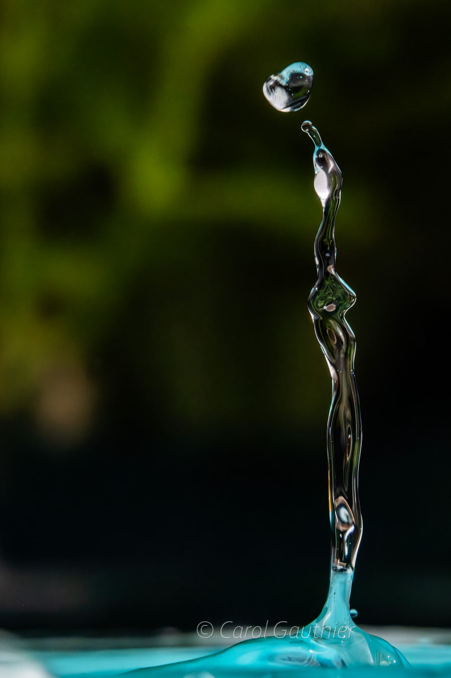 Goutte en mouvement XXII