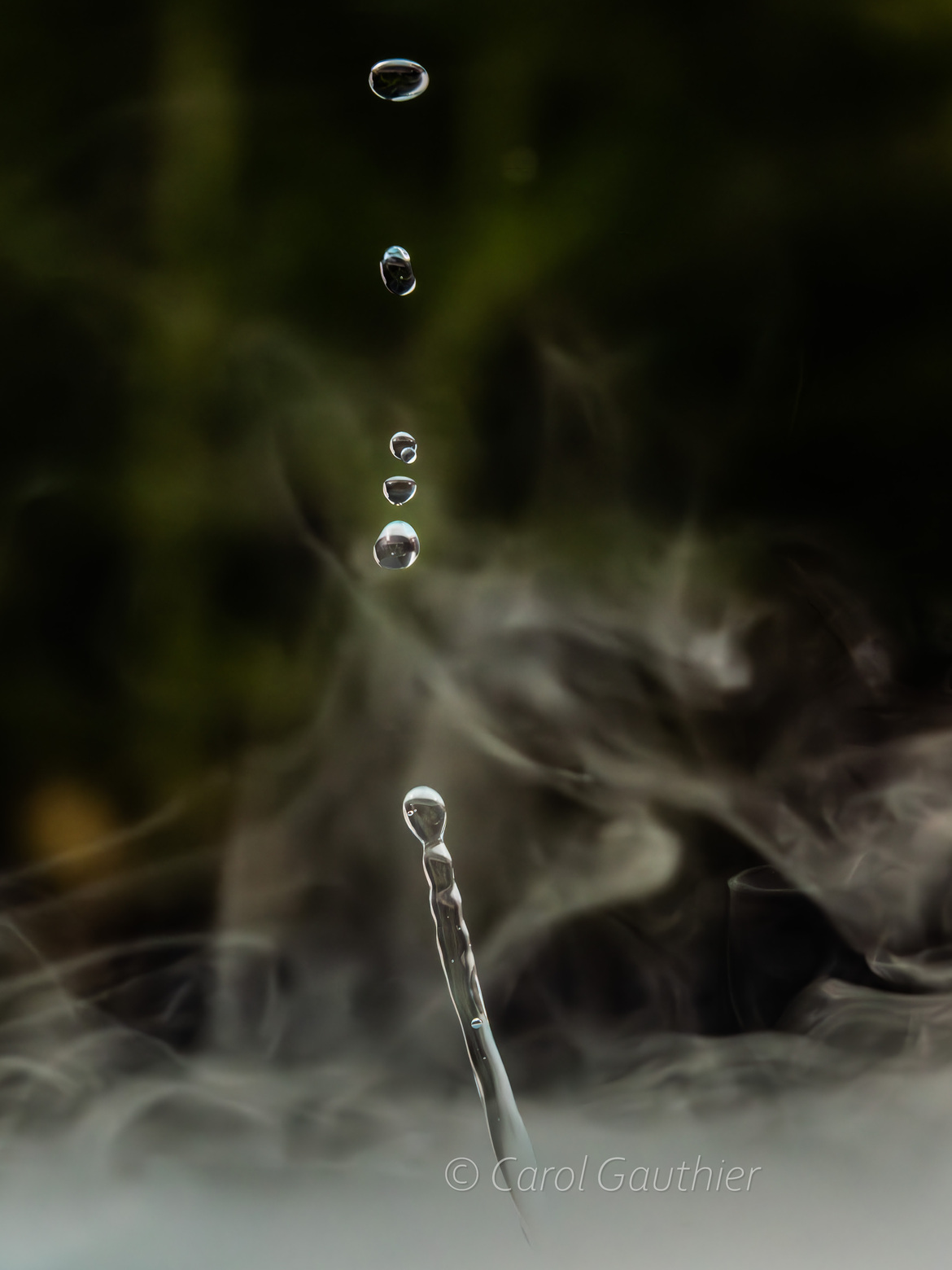 Goutte en mouvement XXIV