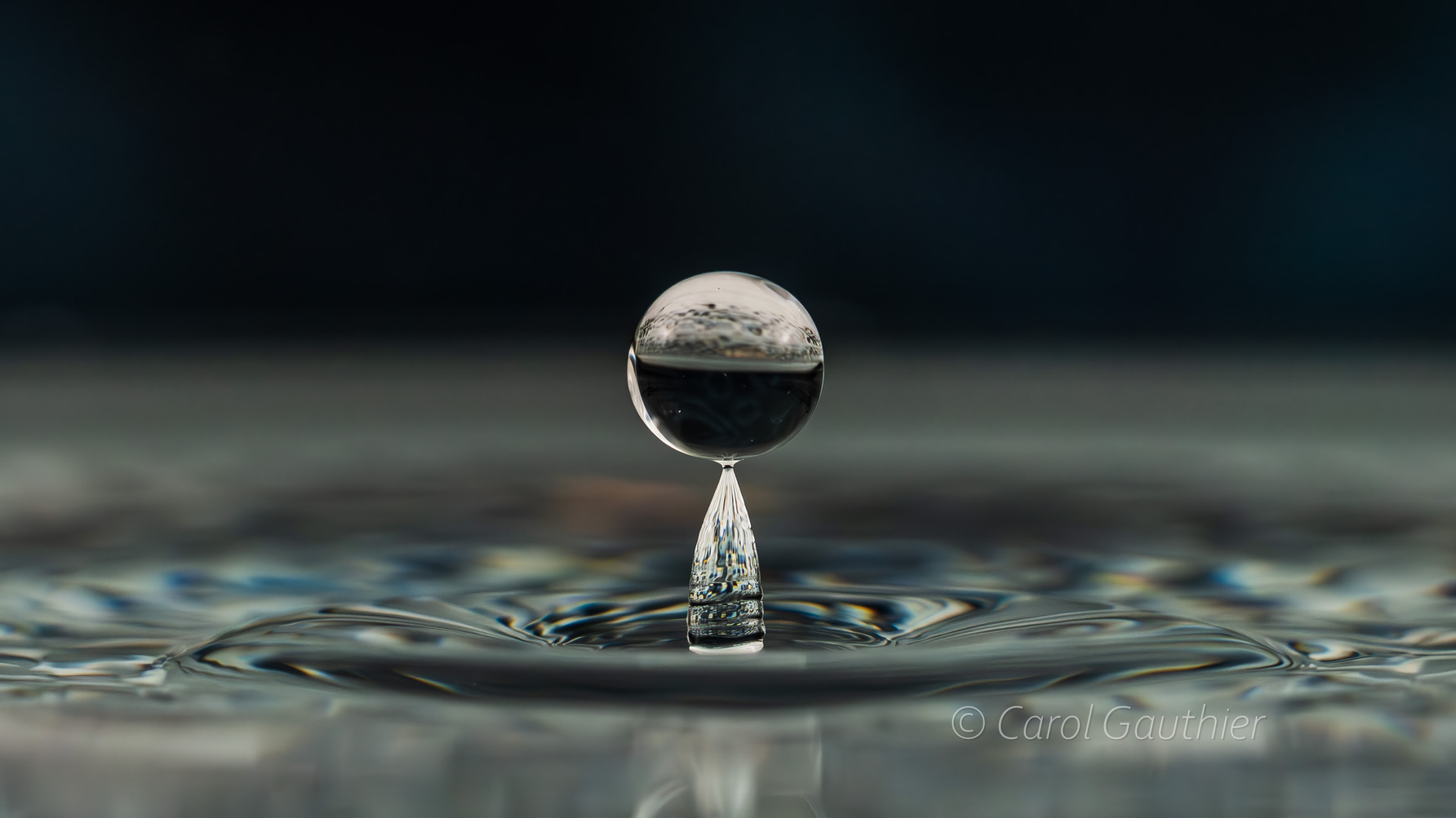 Goutte en mouvement XXVII