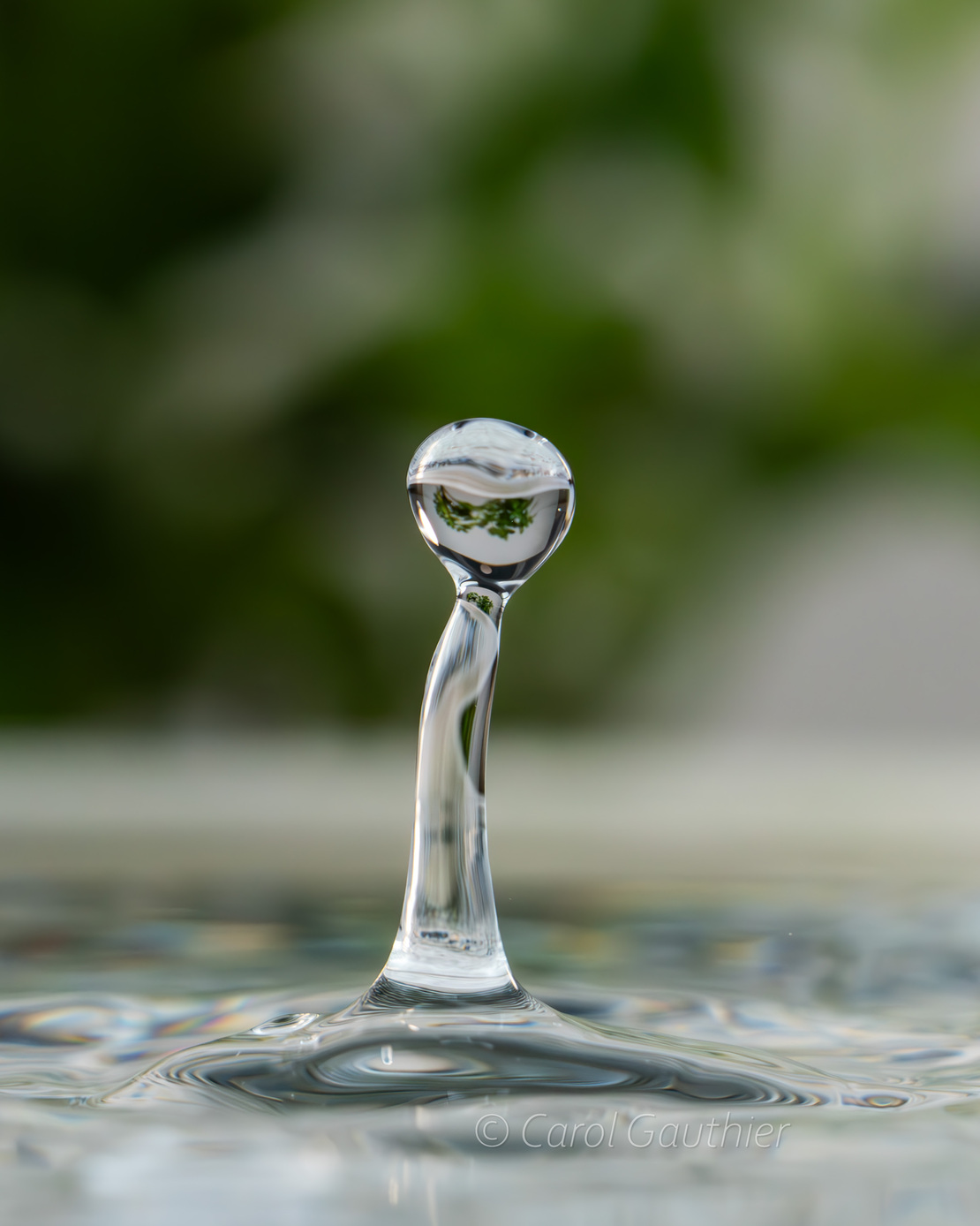 Goutte en mouvement IV