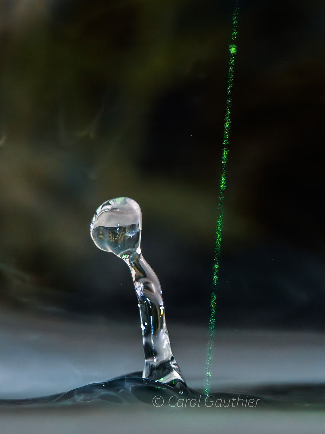 Goutte en mouvement IX