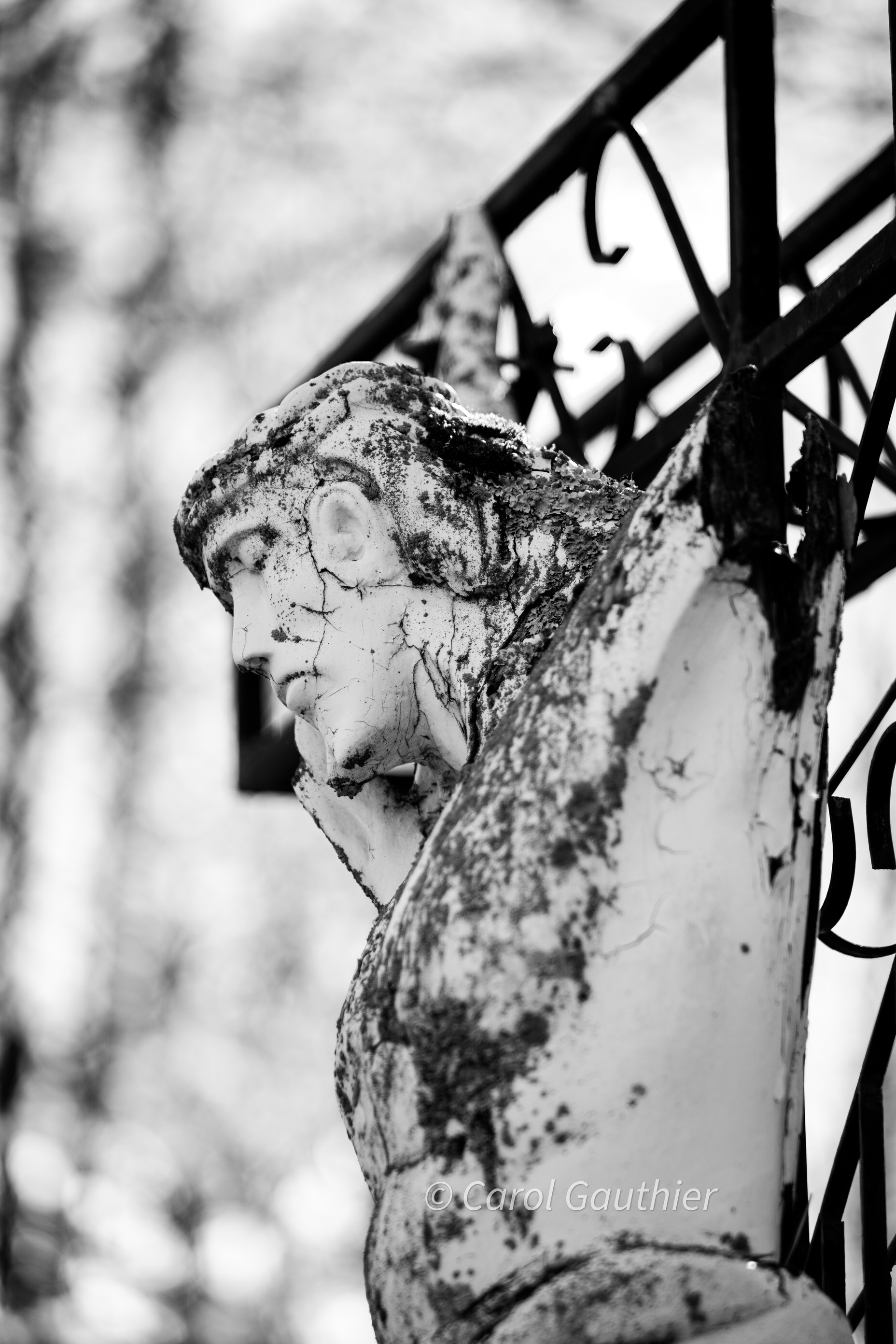 Jésus oublié - 4 : Noir et blanc