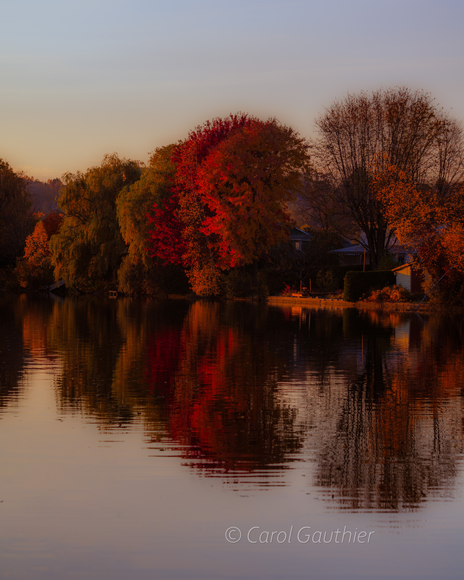 2024 Tapisserie d'automne à Sherbrooke III